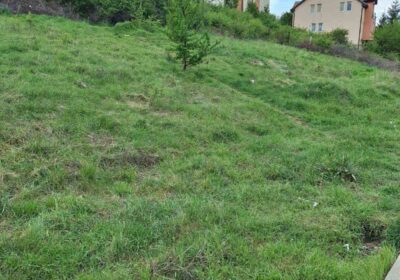 493223610_1143685097560820_5499490741871228015_n